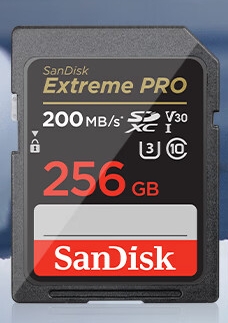 閃迪/SanDisk U3 C10 4K U盤/存儲卡  256GB 190MB/s 黑色